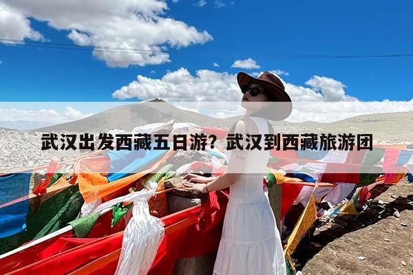 武汉出发西藏五日游?武汉到西藏旅游团