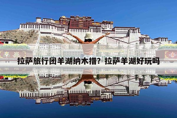 拉萨旅行团羊湖纳木措?拉萨羊湖好玩吗