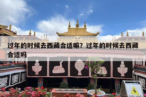 过年的时候去西藏合适嘛?过年的时候去西藏合适吗