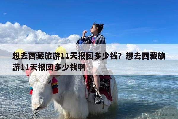 想去西藏旅游11天报团多少钱?想去西藏旅游11天报团多少钱啊