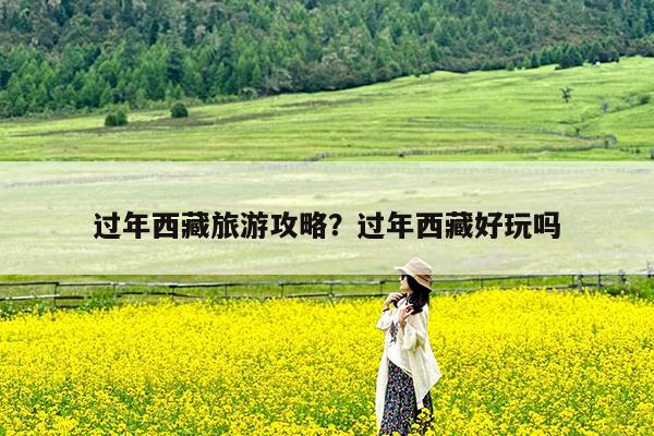 过年西藏旅游攻略?过年西藏好玩吗