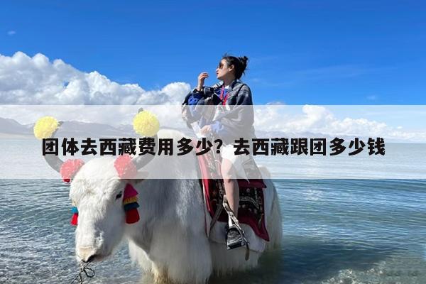 团体去西藏费用多少?去西藏跟团多少钱