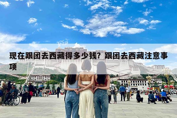 现在跟团去西藏得多少钱?跟团去西藏注意事项