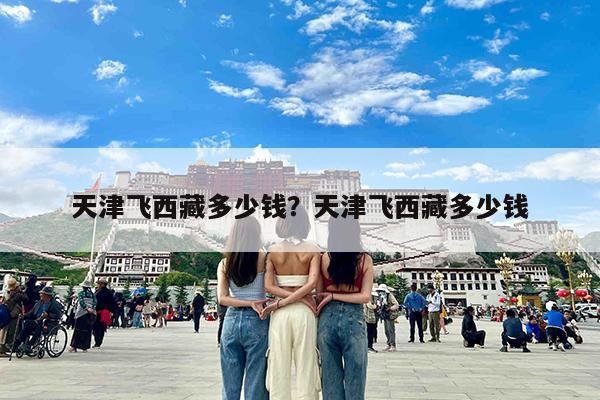 天津飞西藏多少钱?天津飞西藏多少钱