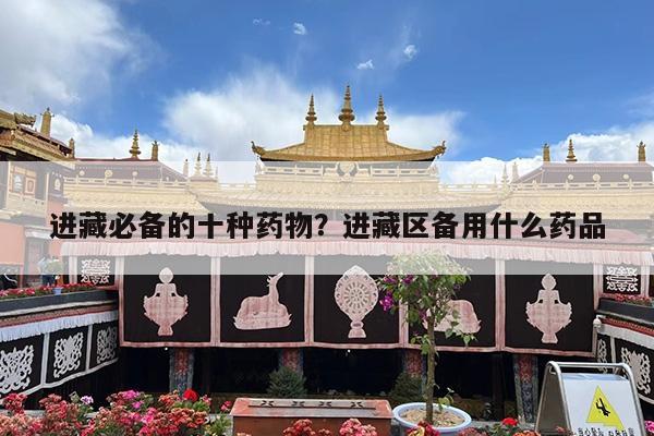 进藏必备的十种药物?进藏区备用什么药品