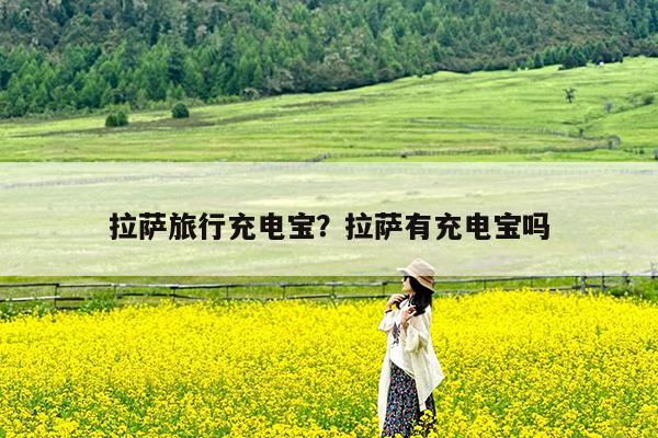 拉萨旅行充电宝?拉萨有充电宝吗