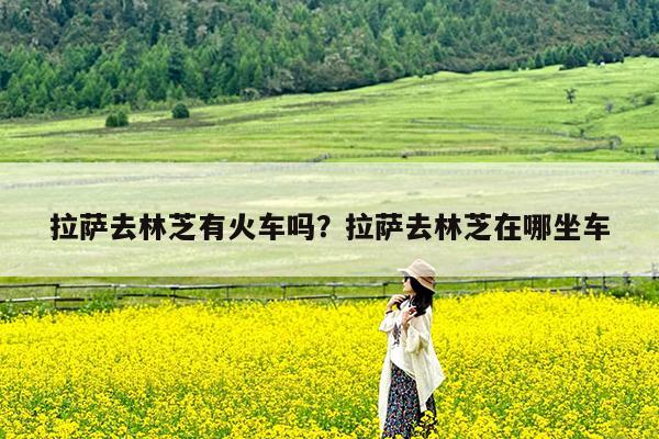 拉萨去林芝有火车吗?拉萨去林芝在哪坐车