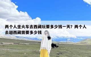 两个人坐火车去西藏玩要多少钱一天？两个人去趟西藏需要多少钱