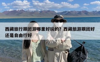 西藏旅行跟团游哪里好玩的？西藏旅游跟团好还是自由行好