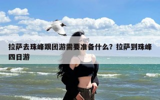 拉萨去珠峰跟团游需要准备什么？拉萨到珠峰四日游