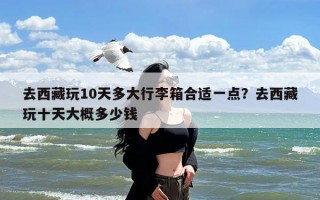 去西藏玩10天多大行李箱合适一点？去西藏玩十天大概多少钱