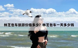 林芝包车旅游价格多少？林芝包车一天多少钱