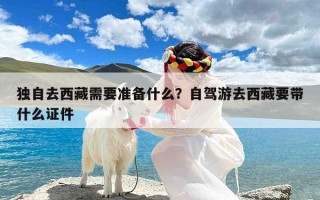 独自去西藏需要准备什么？自驾游去西藏要带什么证件