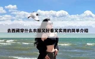 去西藏穿什么衣服又好看又实用的简单介绍