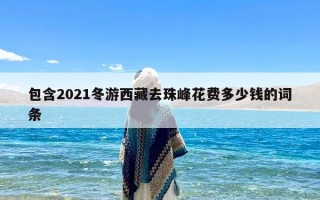 包含2021冬游西藏去珠峰花费多少钱的词条