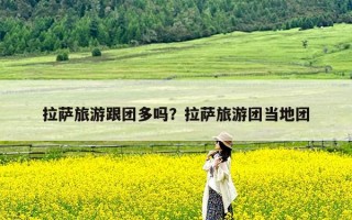 拉萨旅游跟团多吗？拉萨旅游团当地团