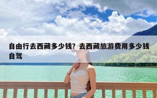 自由行去西藏多少钱？去西藏旅游费用多少钱自驾