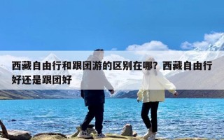 西藏自由行和跟团游的区别在哪？西藏自由行好还是跟团好