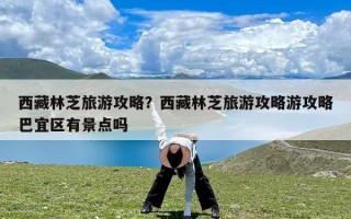 西藏林芝旅游攻略？西藏林芝旅游攻略游攻略巴宜区有景点吗