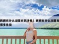 西藏有什么湖里有很多鱼？西藏有什么湖里有很多鱼类