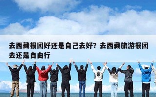 去西藏报团好还是自己去好？去西藏旅游报团去还是自由行