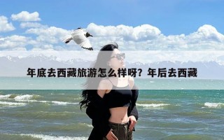 年底去西藏旅游怎么样呀？年后去西藏