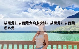 从黑龙江去西藏大约多少钱？从黑龙江去西藏怎么走