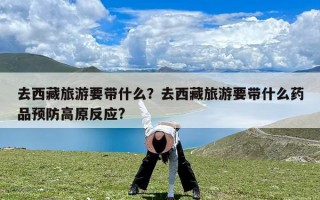 去西藏旅游要带什么？去西藏旅游要带什么药品预防高原反应?