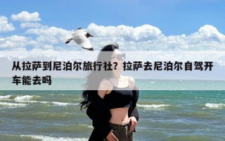 从拉萨到尼泊尔旅行社？拉萨去尼泊尔自驾开车能去吗