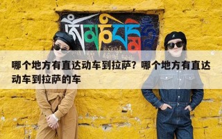 哪个地方有直达动车到拉萨？哪个地方有直达动车到拉萨的车