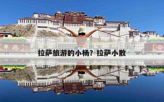 拉萨旅游的小杨？拉萨小散