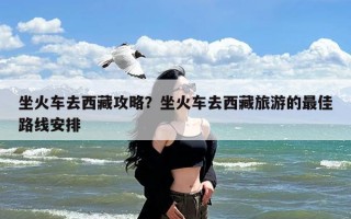 坐火车去西藏攻略？坐火车去西藏旅游的最佳路线安排