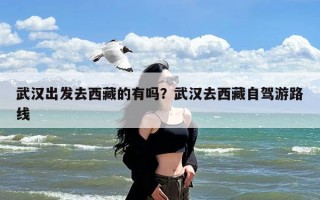 武汉出发去西藏的有吗？武汉去西藏自驾游路线