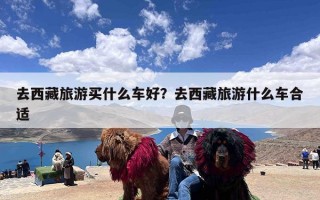 去西藏旅游买什么车好？去西藏旅游什么车合适