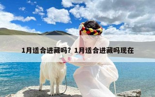 1月适合进藏吗？1月适合进藏吗现在