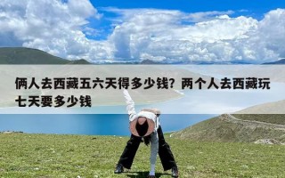 俩人去西藏五六天得多少钱？两个人去西藏玩七天要多少钱