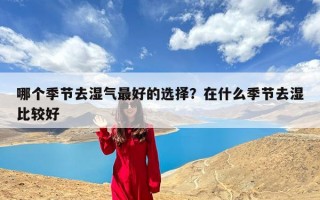 哪个季节去湿气最好的选择？在什么季节去湿比较好