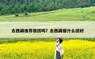 去西藏推荐报团吗？去西藏报什么团好