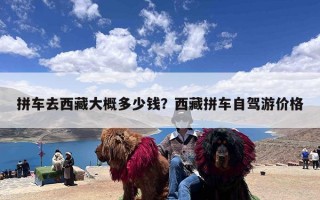 拼车去西藏大概多少钱？西藏拼车自驾游价格