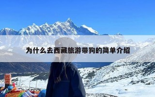 为什么去西藏旅游带狗的简单介绍