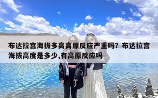 布达拉宫海拔多高高原反应严重吗？布达拉宫海拔高度是多少,有高原反应吗