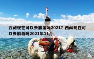 西藏现在可以去旅游吗2021？西藏现在可以去旅游吗2021年11月