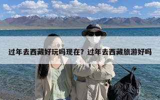 过年去西藏好玩吗现在？过年去西藏旅游好吗