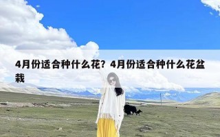 4月份适合种什么花？4月份适合种什么花盆栽