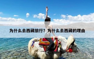 为什么去西藏旅行？为什么去西藏的理由