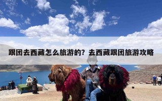 跟团去西藏怎么旅游的？去西藏跟团旅游攻略