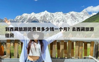 到西藏旅游团费用多少钱一个月？去西藏旅游组团