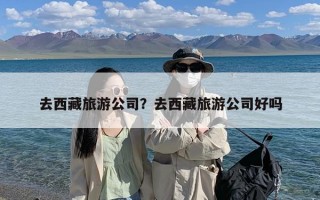 去西藏旅游公司？去西藏旅游公司好吗