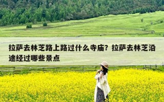 拉萨去林芝路上路过什么寺庙？拉萨去林芝沿途经过哪些景点