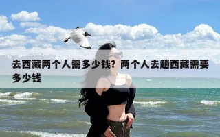 去西藏两个人需多少钱？两个人去趟西藏需要多少钱